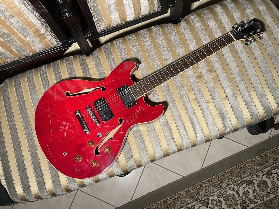 ES-335 джазовые банки — фото 5