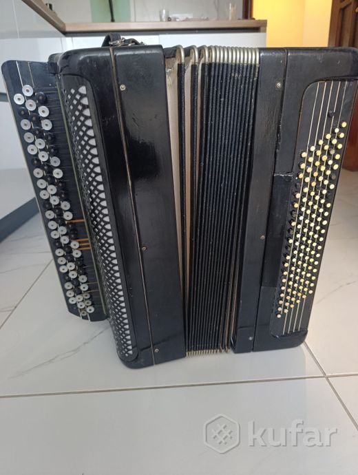 Баян Ясная поляна — фото 1