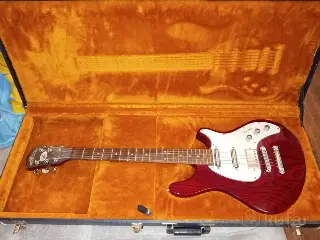Washburn wm200 custom