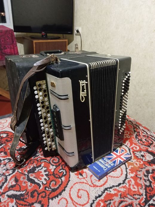Баян тембр