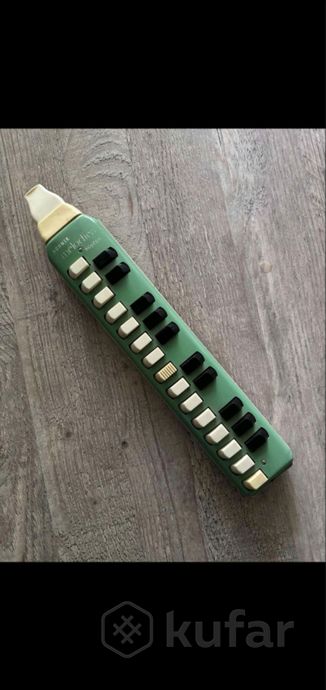 Винтажная мелодика Hohner Soprani и Hohner Alto — фото 1