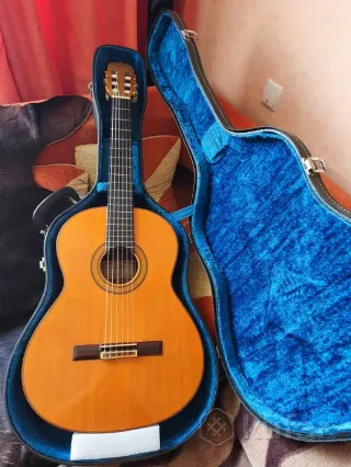 Ryoji Matsuoka M100 (Япония)