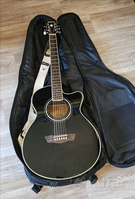 Электроакустика Washburn — фото 1
