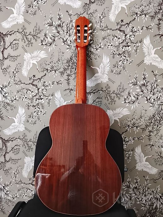Гитара классическая Kremona soloist f65s — фото 3