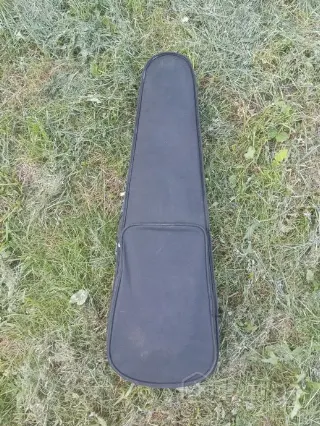 Чехол, кофр для скрипки