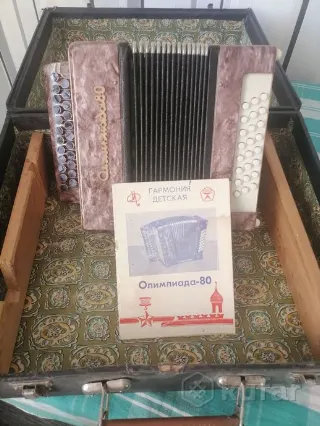 Гармония детская