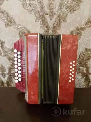 Гармонь детская