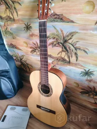 Cremona soloist r65s