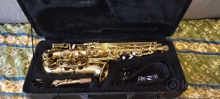 Альт саксафоны stagg