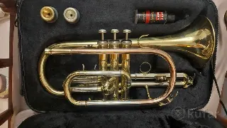 Корнет Roy Benson CR-202