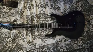Washburn Floyd rose