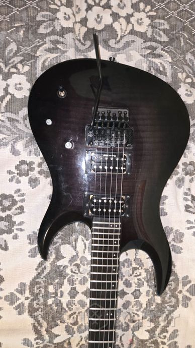 Washburn Floyd rose — фото 2
