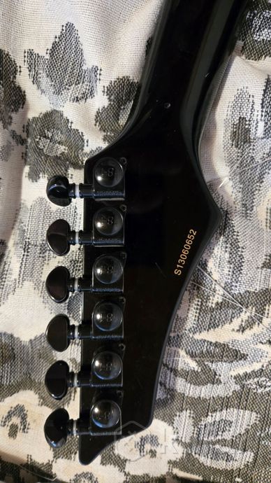 Washburn Floyd rose — фото 4