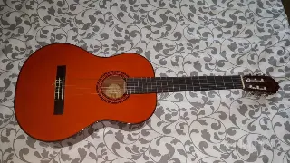 Классическая гитара Washburn C5