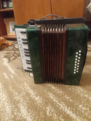 Баян мини