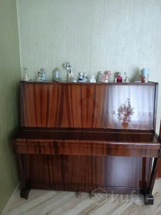 Музыкальные инструменты