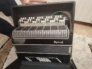 Баян Рубин6