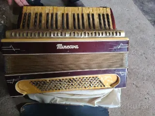 Аккардион немецкий