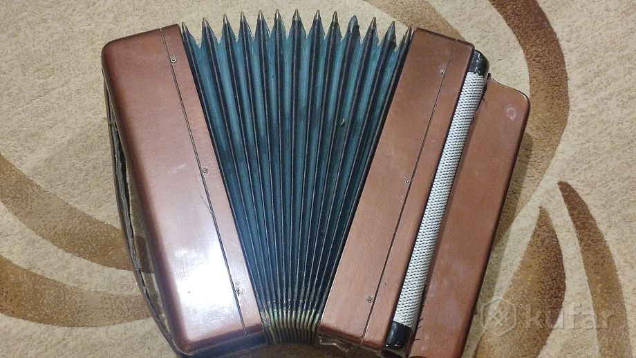 Баян Тульский — фото 2