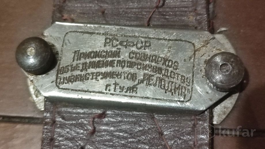 Баян Тульский — фото 4