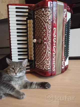 Аккордеон Horch