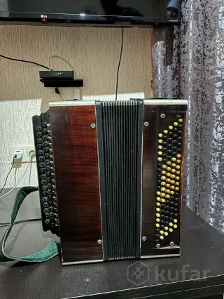 Баян Северный Кустарь