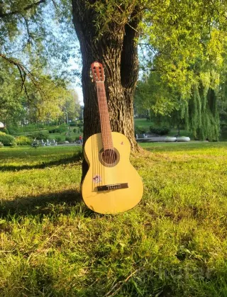 Ученическая гитара с чехлом