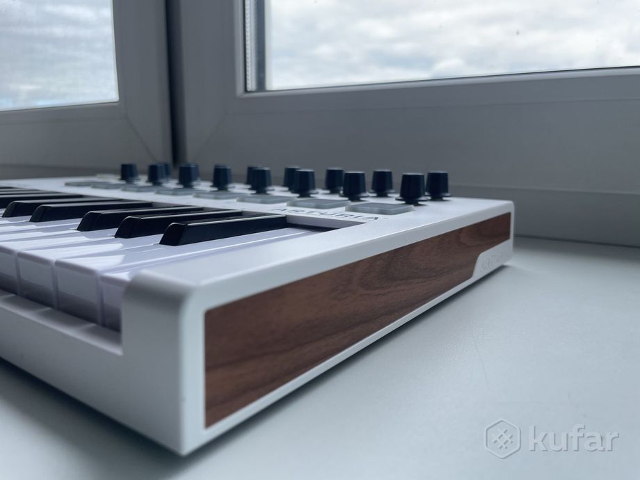 MIDI-клавитуара Arturia MINILAB 2 (MK2) — фото 5
