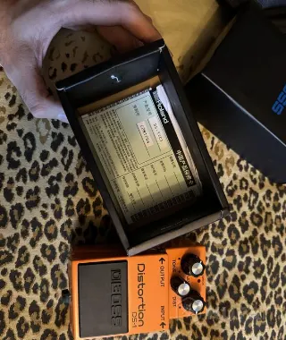 Boss DS-1