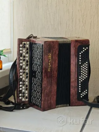 Баян и гармонь (в чехлах)