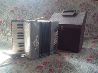 Аккордеон детский