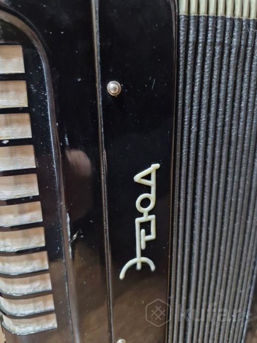Баян — фото 4