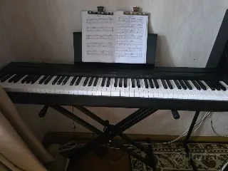 Yamaha P-45B