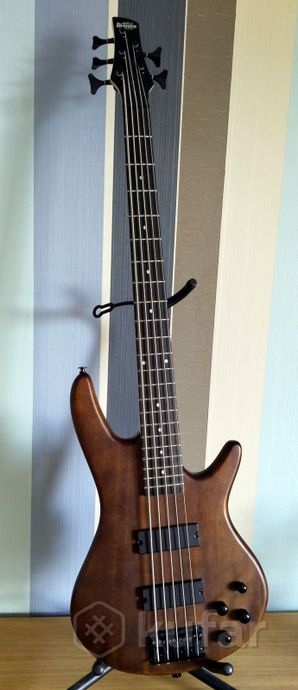 5 струн. Ibanez, Spector, Steinberger, цены РАЗНЫЕ