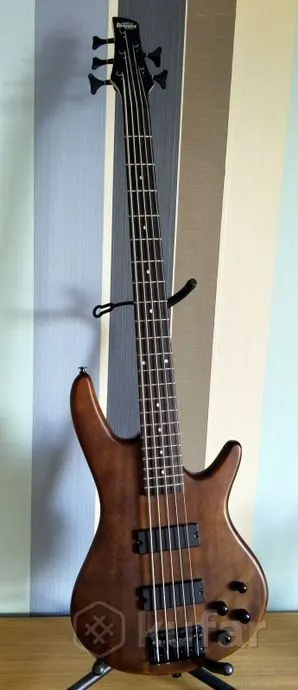 5 струн. Ibanez, Spector, Steinberger, цены РАЗНЫЕ