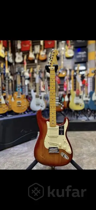 Fender Stratocaster Professional 2