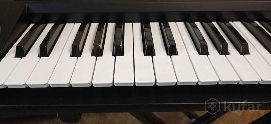 Синтезатор Korg EK-50 (Состояние нового) — фото 2