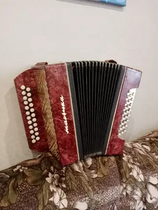 Гармонь гармошка
