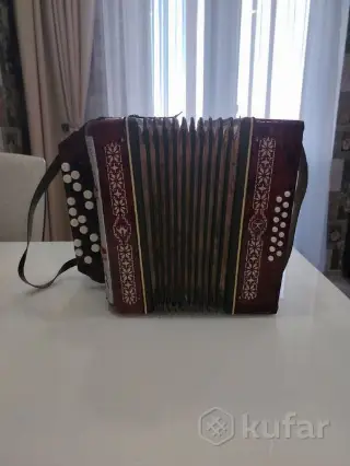 Гармонь детская,