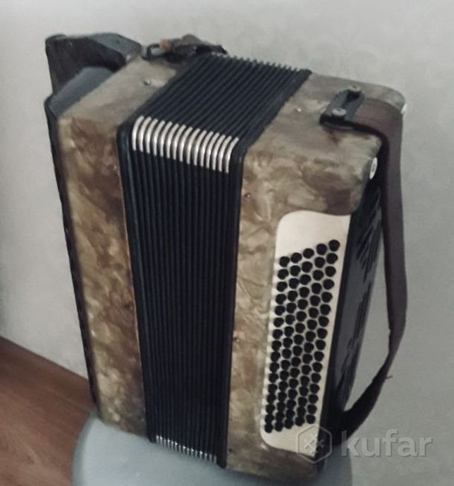Немецкий ретро баян — фото 1