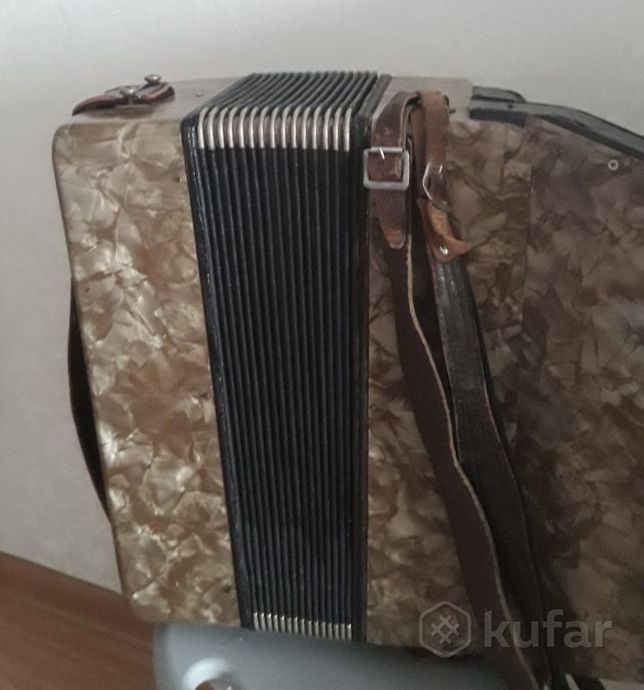 Немецкий ретро баян — фото 4