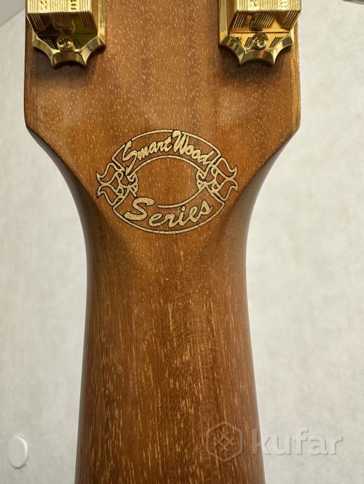 Gibson Les Paul Standard SmartaWood LE 1999 — фото 4