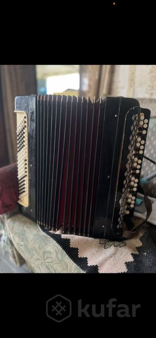 Баян — фото 1