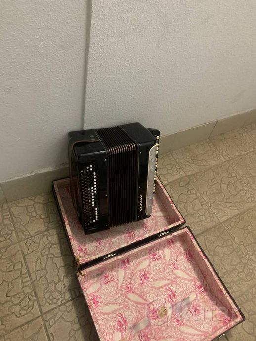 Баян