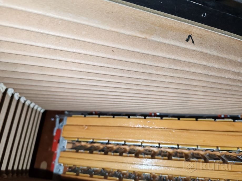 Баян Hohner Maestro 4 — фото 5