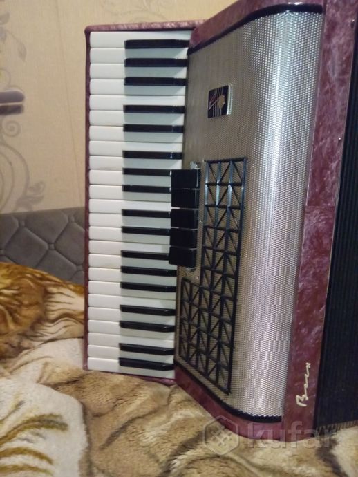 аккордеон восход — фото 2