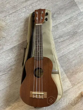 Укулеле flight nus 310