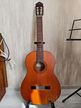 Yamaha классика дека массив ели