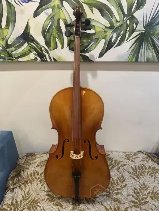 Виолончель 4/4