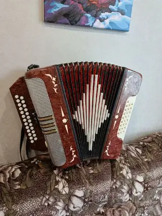 гармонь гармошка